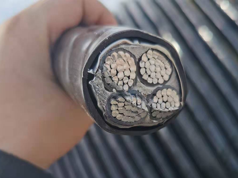 鎧裝電纜價(jià)格比普通電纜的貴憑什么？