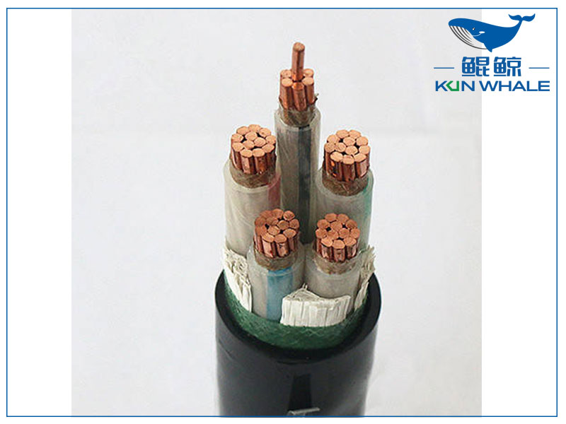 鄭州電纜廠帶你了解wdz—yje是?什么電纜？